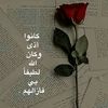 ayoda258825746094