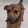 snup.o.dog