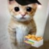 thatcatgirl_0o