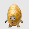 saida.faiz14