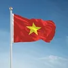 🇻🇳　  ️