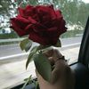 kashifawan6854