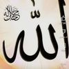 user673136388786