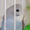 ayman.abrach4