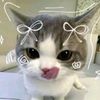 user48193337302070