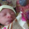 hassanjutt00772