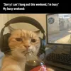 meomuop2k9qt