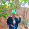 user92462295411433