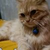 norbayah_29