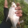 oxa.fishing