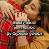 user56080075212046