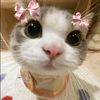 korizen_mahira36