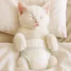 AI cats