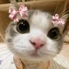 syahhhhh_aissyahhh2