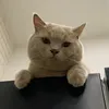 thuyvyvu96