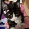 urfavtimya0