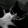 raszka.tzy