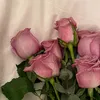 123gf40