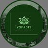 vspa313