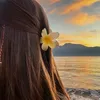 salma_aa_14