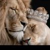 husnain.malik8346