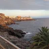 coralice59