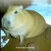lamerde2capybara