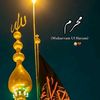 ali12a137