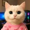 CuteCatsStories