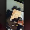 secretlifeof_jazzyboo
