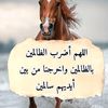 .user6817054345130