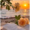 nouralhoud0314