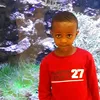 abdiabdimo