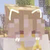 _nelx53._.10