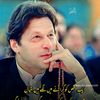 naveedhusain804