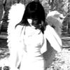 jiir95