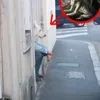 alexandre_brrt