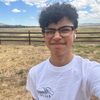 findingninopt2