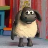 sheep116203