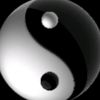 ying_yang335