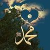 user71362581250024