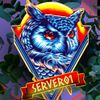 server0003