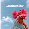 user602619482516