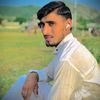 walid.hamdard58
