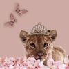 nourha.l