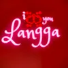 .langga431