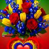sandi.sandi560
