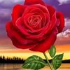 user4449063358570