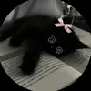sophie3756