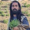 omer.khan407